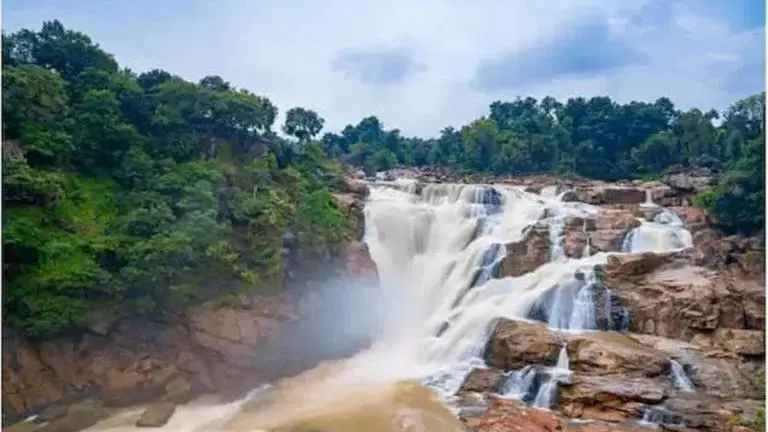 People in buffer zones won't be displaced, can continue with agriculture: Centre eco-sensitive zone