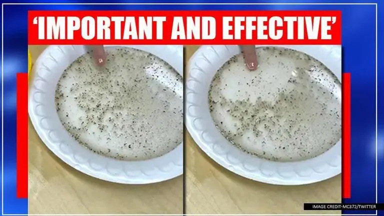 Video of school teacher explaining importance of washing hands wins internet Video