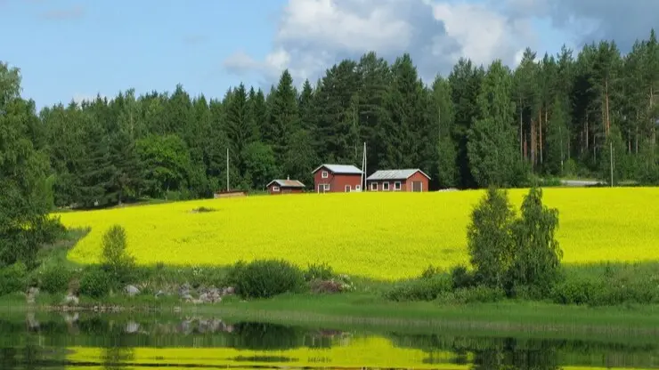 World's Happiest Countries 2024: Finland Retains Top Spot; Where Does India Stand World's Happiest Countries 2024: Finland Retains Top Spot