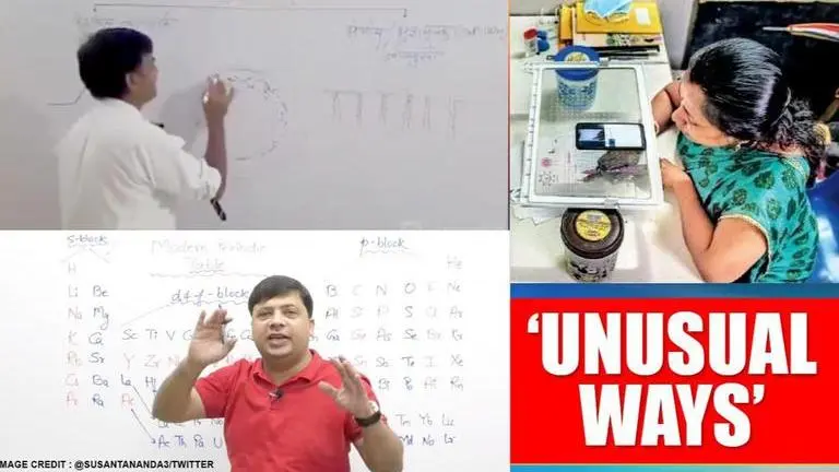 Teachers' Day 2020: Meet teachers who amazed internet with their unique skills amid COVID Teacher's Day 2020: Here are teachers who went out of their ways for students