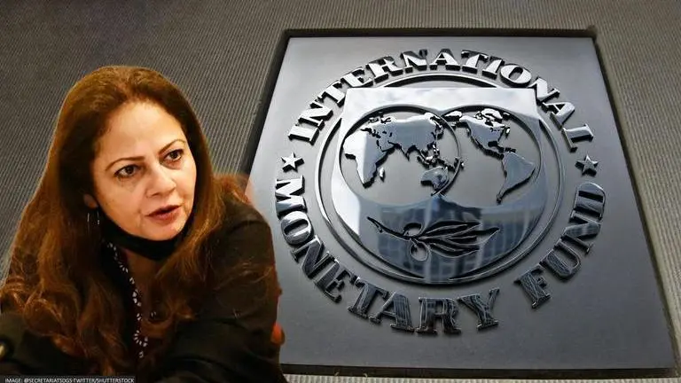Pakistan Minister slams IMF for 'meddling in internal affairs' Pakistan minister IMF