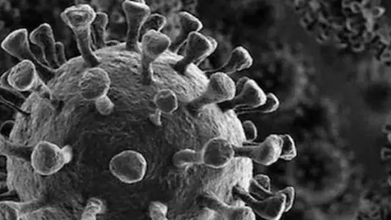 Coronavirus outbreak: Indo-Bhutan border with Assam's Kokrajhar on alert