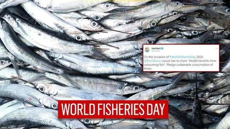 On World Fisheries Day, MoHFW shares video & pledges 'sustainable consumption of fishes' World Fisheries Day