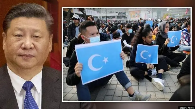 China's Uyghur repression not just cultural but 'physical', says report as birthrates drop China's Uyghur