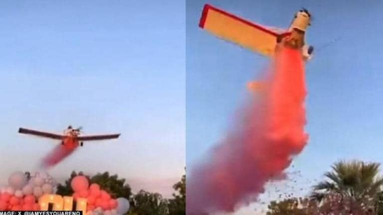 Gender reveal party in Mexico turns fatal: Plane crashes moments after ...
