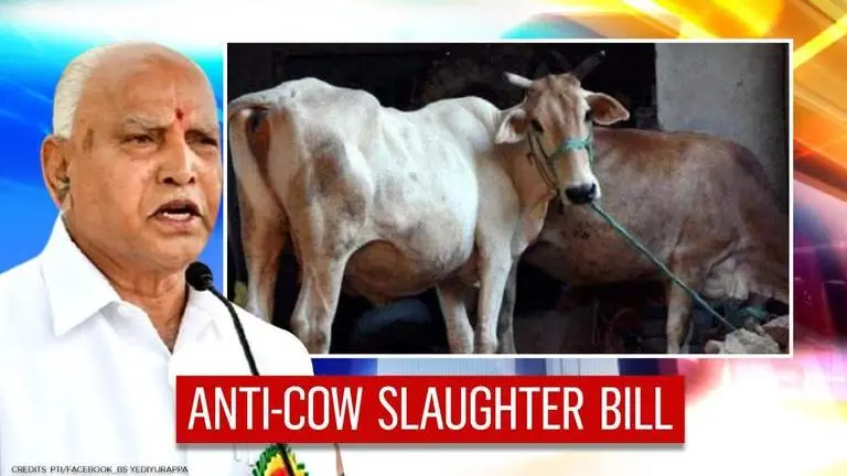 Karnataka govt to implement anti-cow slaughter law from Jan 18, lists provisions karnataka