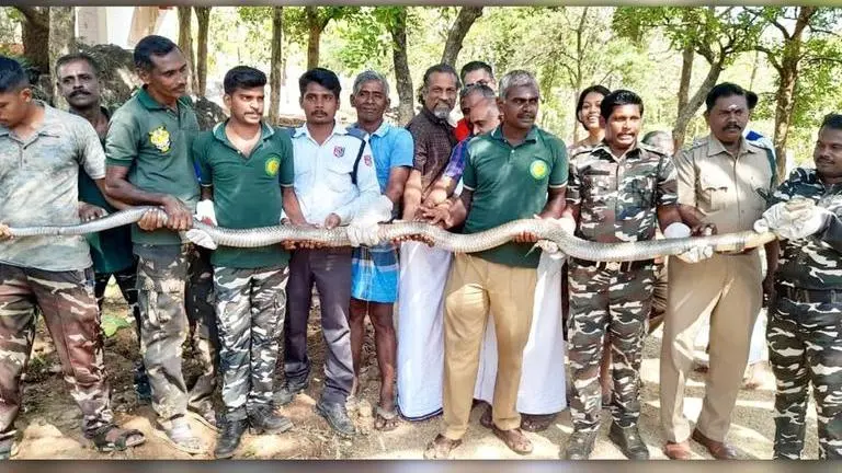 Zoho CEO Sridhar Vembu's close encounter with giant cobra in Tamil Nadu; see viral post Zoho