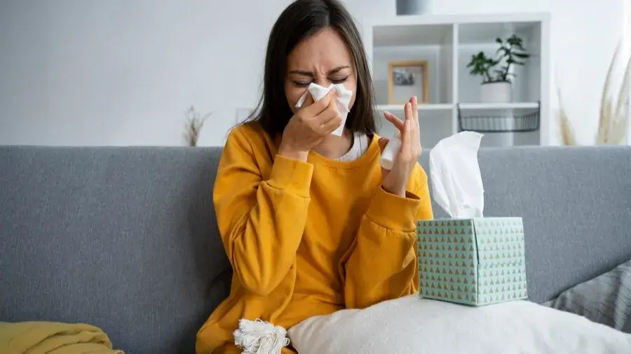 Honey to Green tea: 5 easy home remedies to get relief from dust allergy Dust allergy