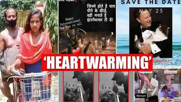 Good News: From reunion of lost siblings to man marrying cat, 5 stories spreading smiles Good News