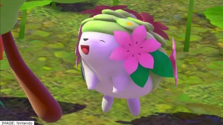 New Pokemon Snap a pup at heart: How to get a snap of Eevee and Stoutland? new pokemon snap