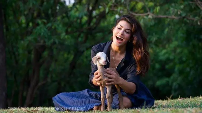 Jacqueline Fernandez misses her parents, shares picture on Instagram Jacqueline Fernandez