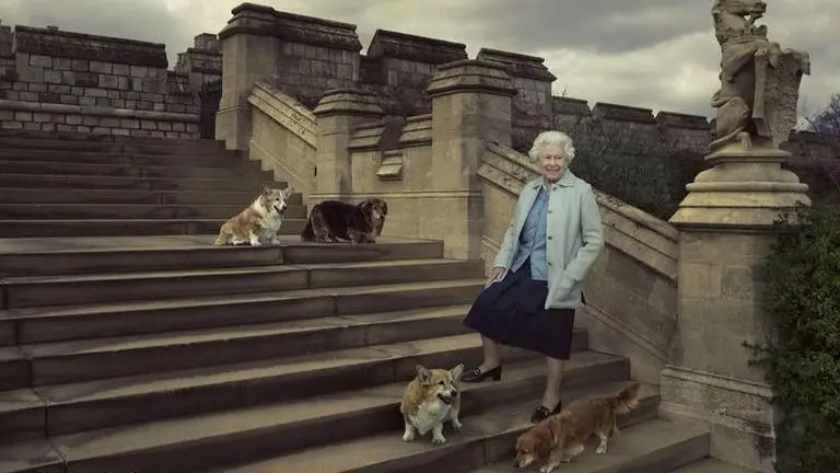 Queen Elizabeth had limitless love for corgis; here's how many she bred during her reign Queen Elizabeth