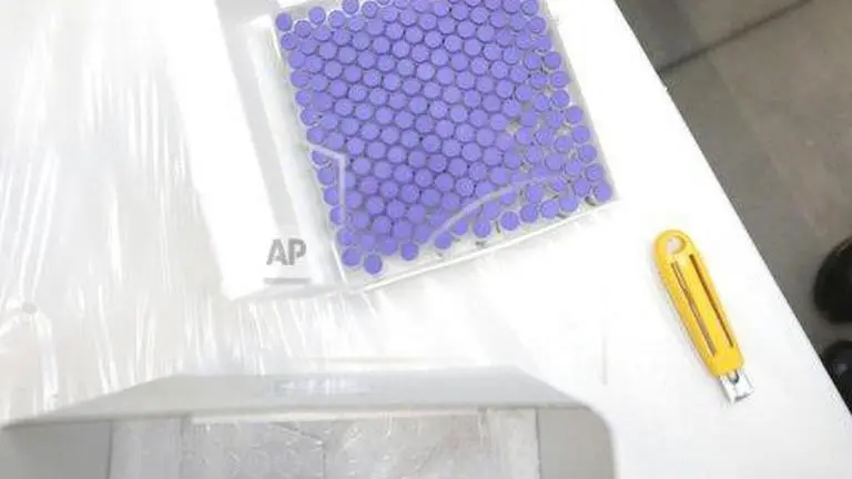 First batch of China's Sinovac vaccine lands in HK