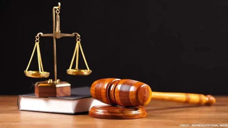 Rohini Court shootout: Full proof security systems needed at courts, says Delhi HC Delhi