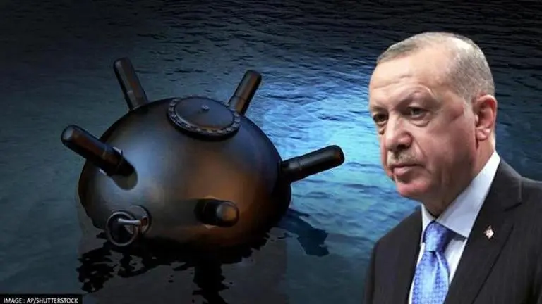 Turkey suspects conspiracy behind Black Sea mines located off country's coast: Reports Turkey