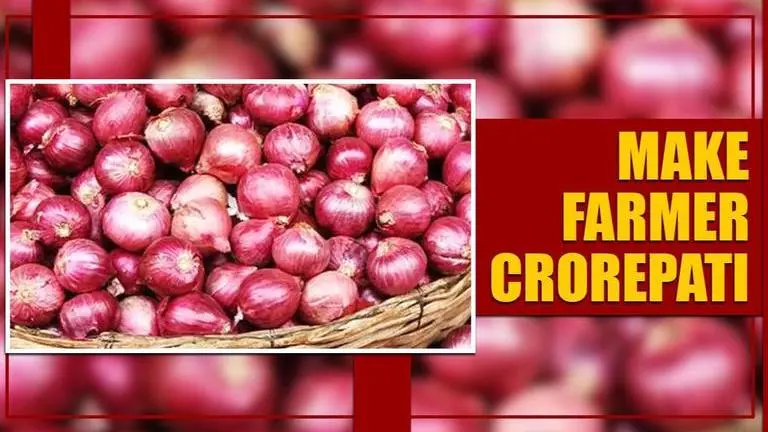 Karnataka farmer becomes crorepati due to huge onion production Karnataka