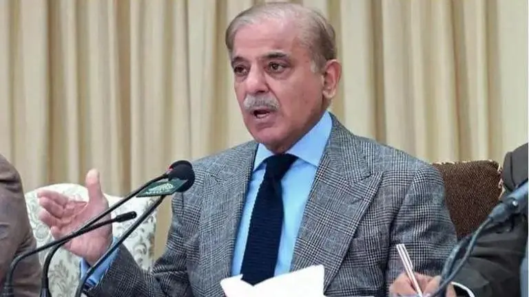 'Pakistan's deepening politico-economic crisis, IMF terms could fuel instability': Experts Pak PM