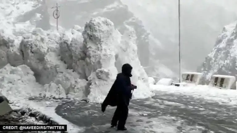 Video of tourists escaping avalanche on Himachal road breaks the internet Video