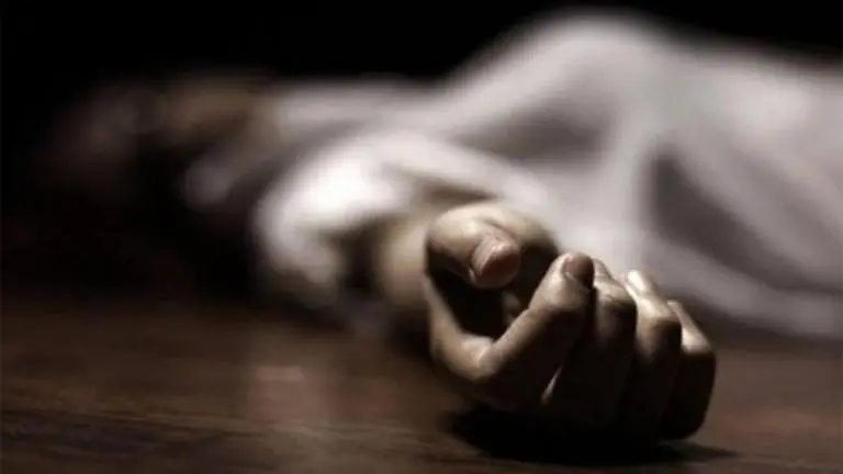 Woman's death in lift: President of Noida society's residents' body arrested, gets bail