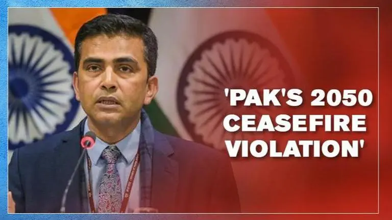 India raises concerns over Pak's 2050 ceasefire violations in 2019 India