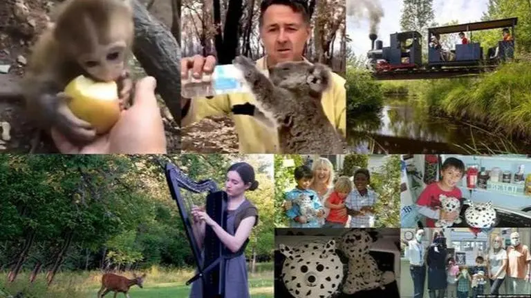 Good News: From mini monkeys to mini rail. Here's everything that will lift you up