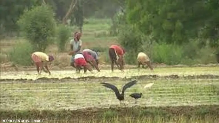 Andhra farmer attempts suicide over land dispute, in police custody Andhra