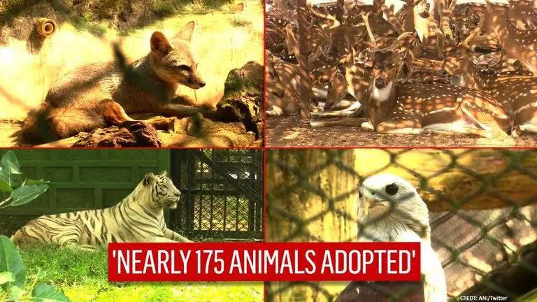 Odisha: Nandankanan zoo launches 'Adopt-An-Animal program to conserve wildlife
