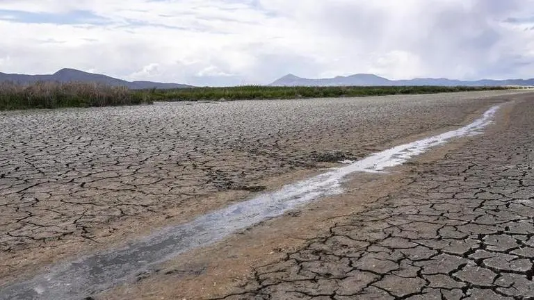 Nation's largest water supplier declares drought emergency Representative Image