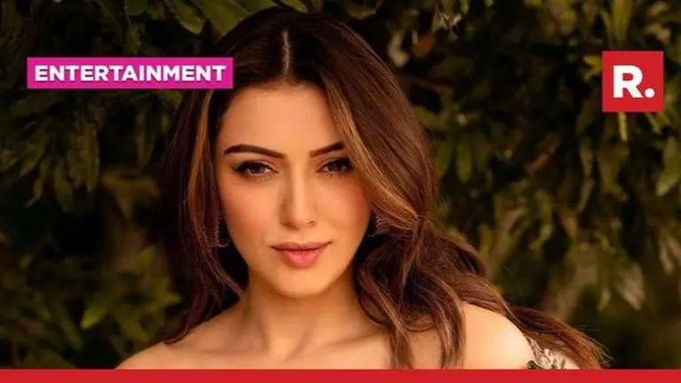 Hansika Motwani on marrying her best friend's ex-husband Sohail Kathuria: 'Not my fault' Hansika Motwani