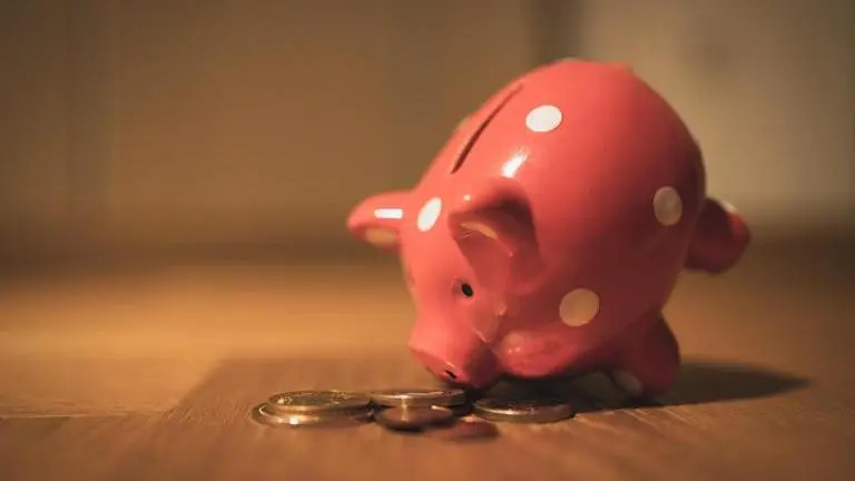 Mutual fund houses adopt cautious approach to NFOs with only 59 new schemes in 2023 Mutual funds