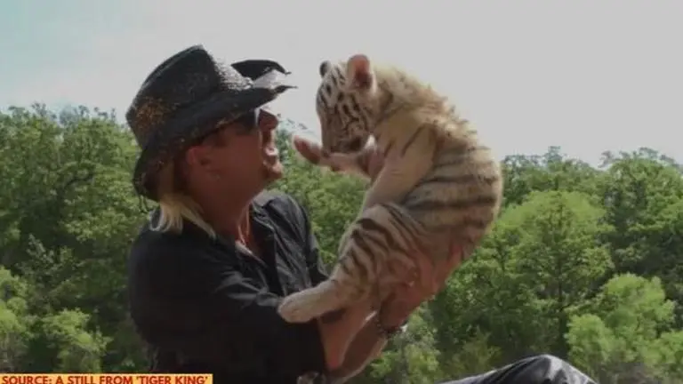 'Tiger King' bags 6 Emmy nominations, including 'Outstanding Documentary Series' tiger king