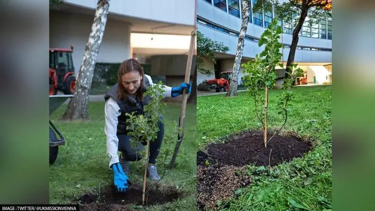 8th Newton Space sapling from ISS planted at Austria's Vienna International Center space sapling
