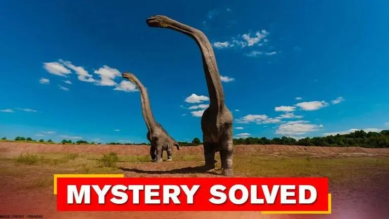 Fossil of long-necked ancient reptile reveals the spices was adaptable, lived underwater Fossil