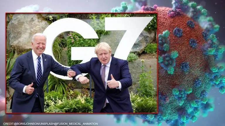 COVID-19 origin: US & UK back 'timely & transparent' next phase of WHO study in China COVID-19 origin, US, UK