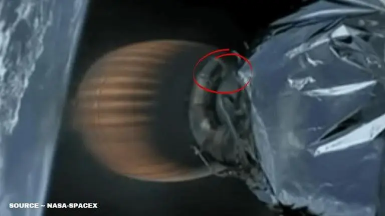 mouse on spacex