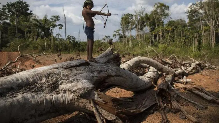 Indigenous protest closes Amazon highway in Brazil