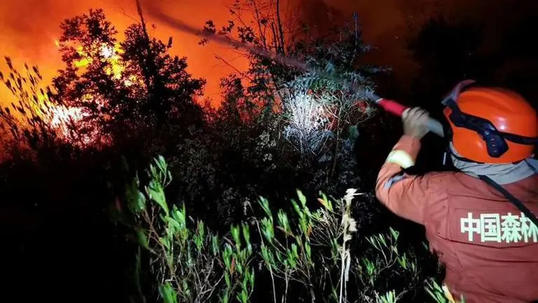 18 firefighters among 19 killed in China forest-fire China