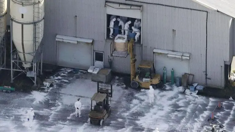 Japan bird flu outbreak spreads as Fukuoka prefecture reports cases Japan