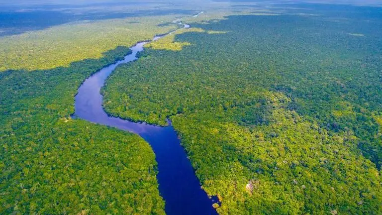 Human activities turn Amazon rainforest into net climate change contributor; imperil it Amazon