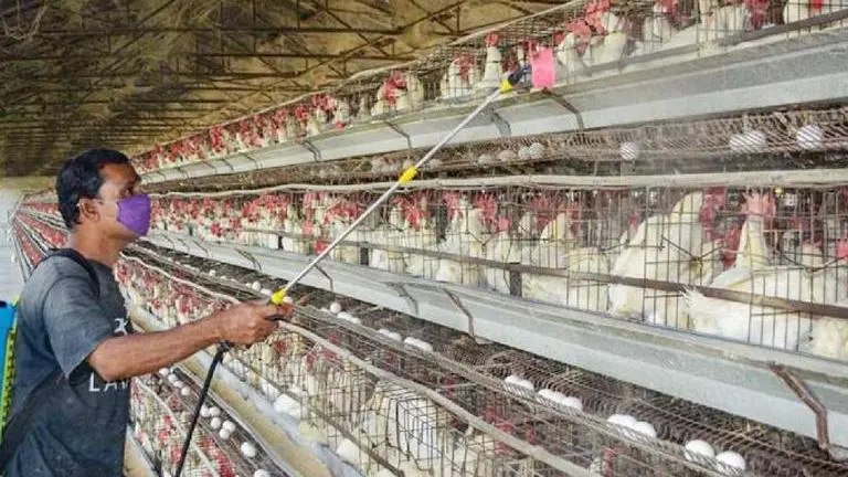 Europe sees fresh outbreak of highly contagious bird flu; tightens poultry farm measures Europe