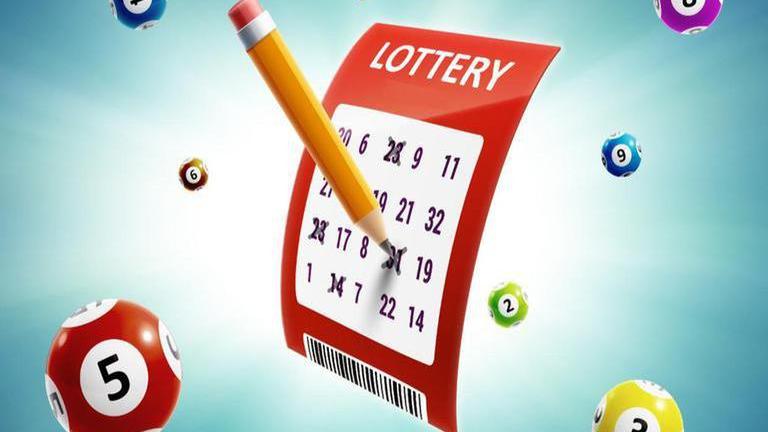 Lottery Sambad Result 11.11.2021: Nagaland State Lottery Dear FALCON  Evening | Republic World