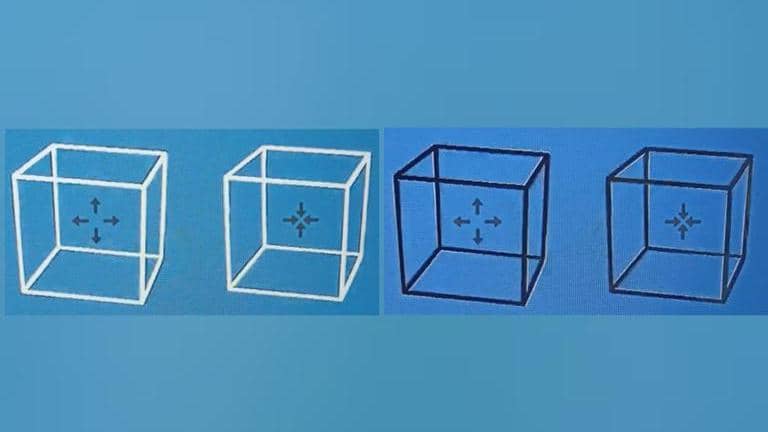 Viral Video: Watch this optical illusion making stationary cubes appear ...