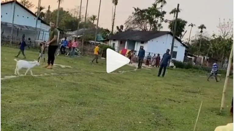 Goat invades Kevin Pietersen's leg-side run-fest as he takes on tiny bowlers Kevin Pietersen