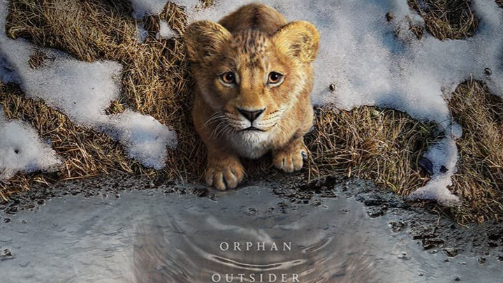 Mufasa The Lion King Trailer: An Orphan's Journey, A Brotherly Bond ...