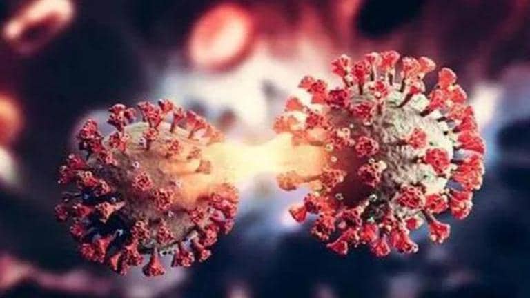 Centre holds high-level meeting on COVID, asks states to ramp up genome ...