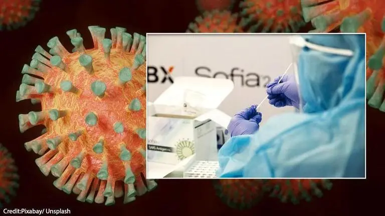 COVID-19: Researchers create AI tool to detect coronavirus-fighting molecules Image credits: Unsplash/Pixabay