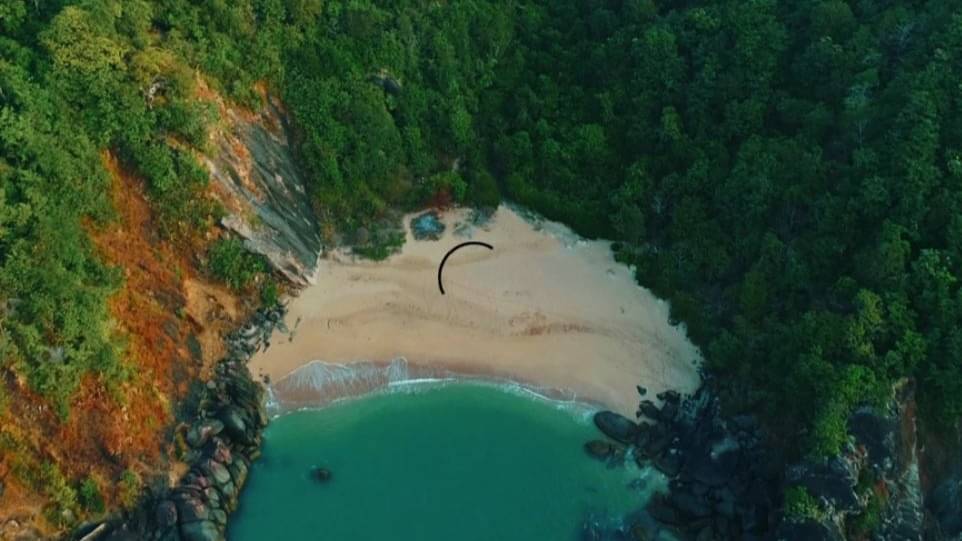 Description of the pic