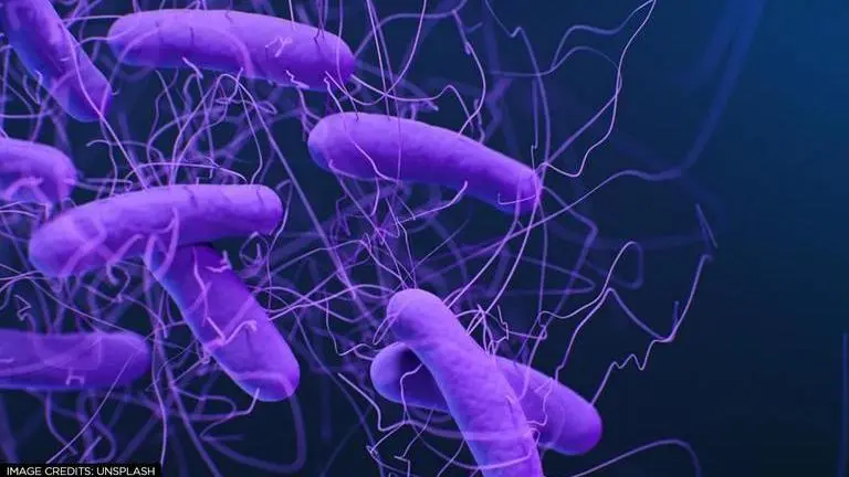 Scientists figure out 'evolutionary medicine' tactic to curb threat of superbugs superbugs