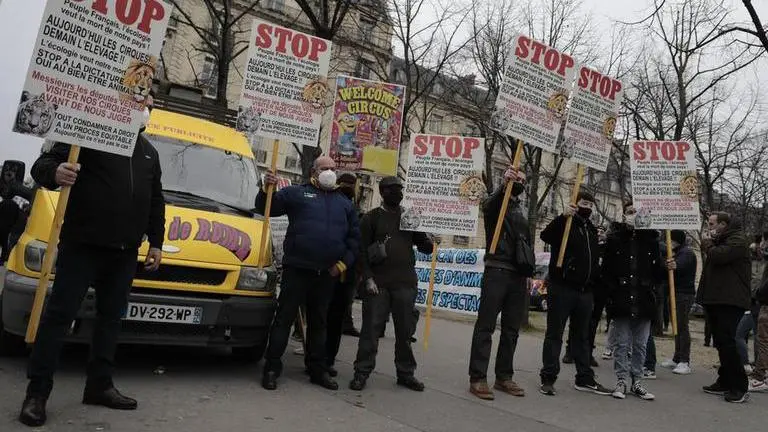 French lawmakers debate ban on wild animals in circuses