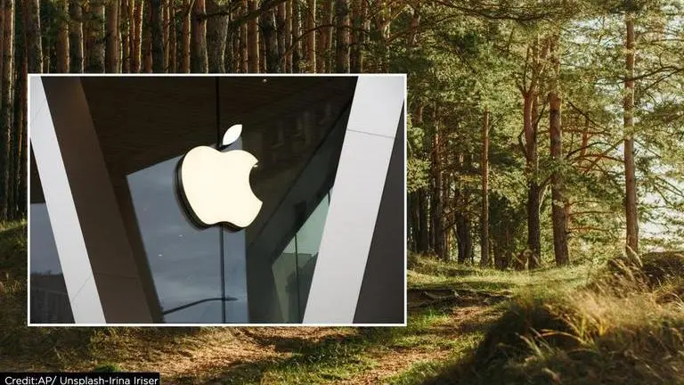 Apple launches one of a kind $200 million forest fund to remove carbon from atmosphere Apple